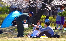 春の桜祭りで広報活動