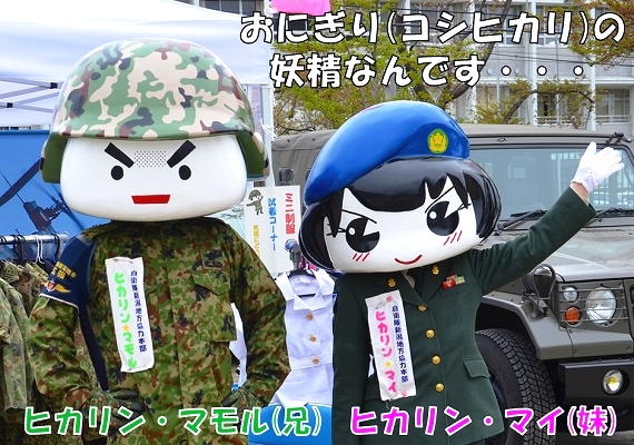 おにぎり（コシヒカリ）の妖精なんです・・・　ヒカリン・マモル（兄）　ヒカリン・マイ（妹）