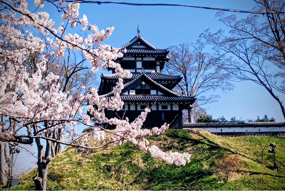 糸魚川ジオパーク検定