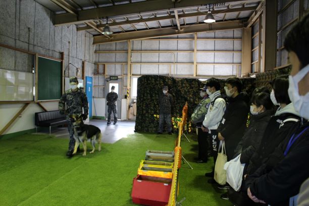 警備犬の訓練展示