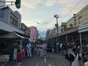 展示の様子