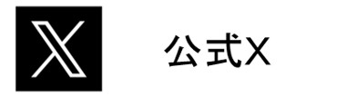 公式X