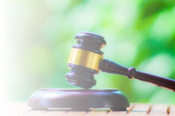 一般競争入札情報：イメージ
