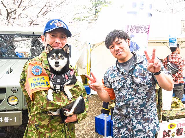 静岡まつり