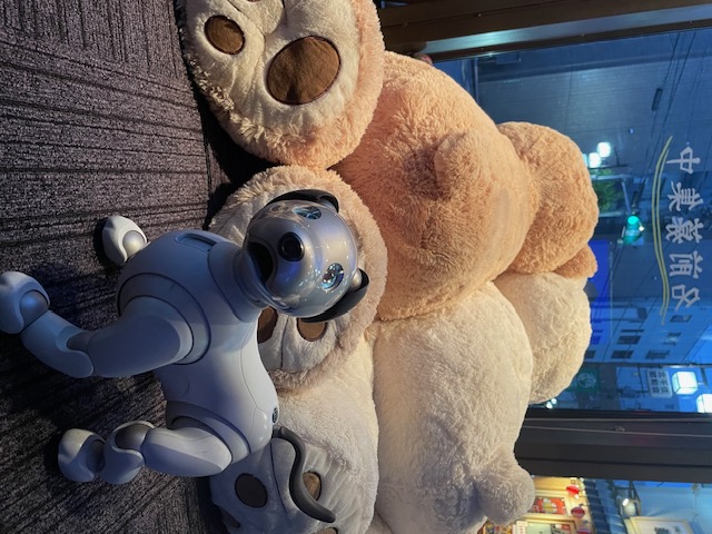 クマと犬