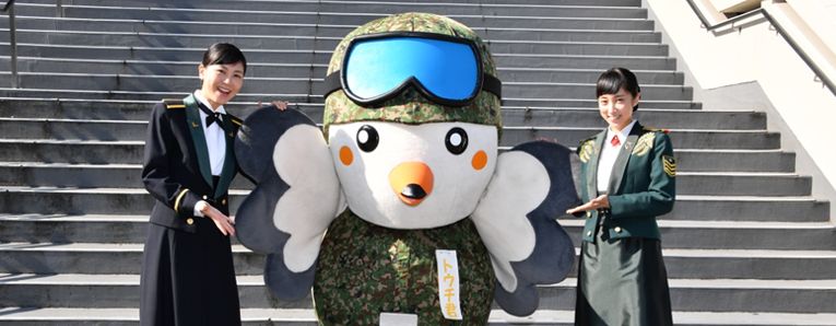 教えてトウチ君