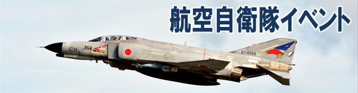 航空自衛隊