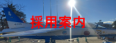 採用案内