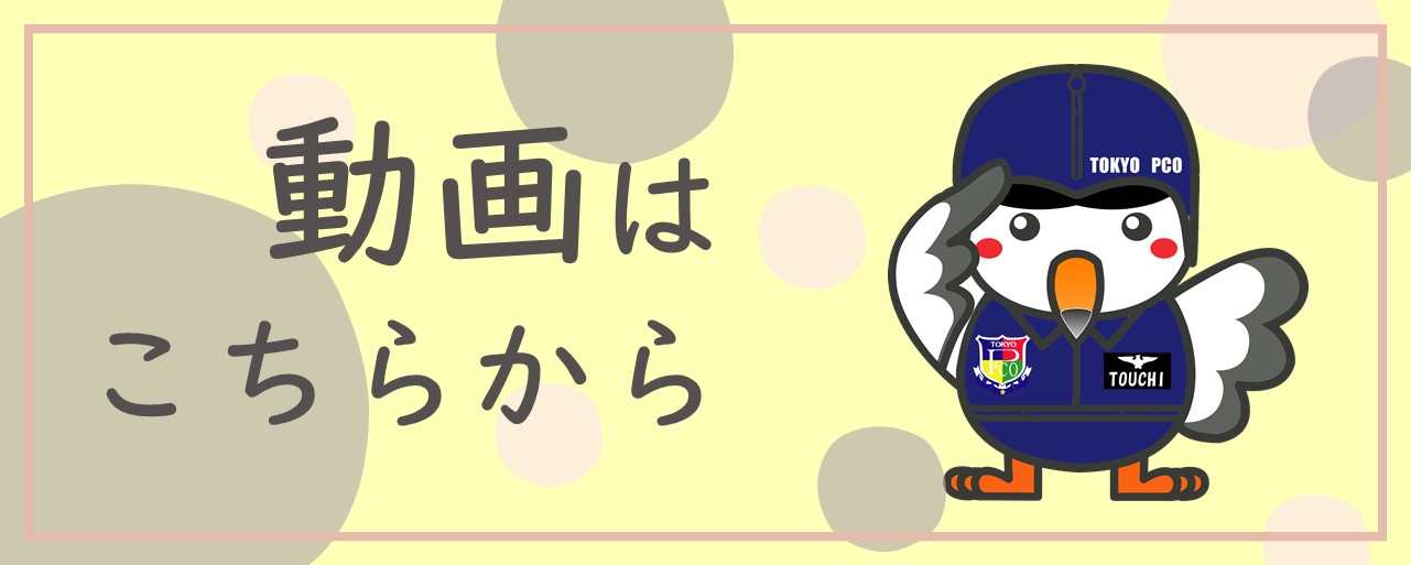 動画はこちら