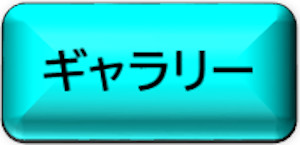 ギャラリー