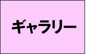 ギャラリー