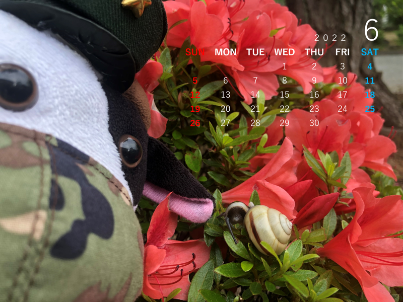 特別企画 自衛隊山口地方協力本部 公式