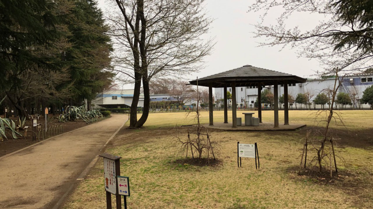 緑地帯の整備等