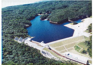 ダム（名護市）の画像