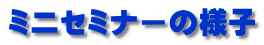 ミニセミナーの様子
