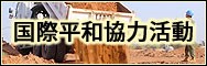 国際平和協力活動